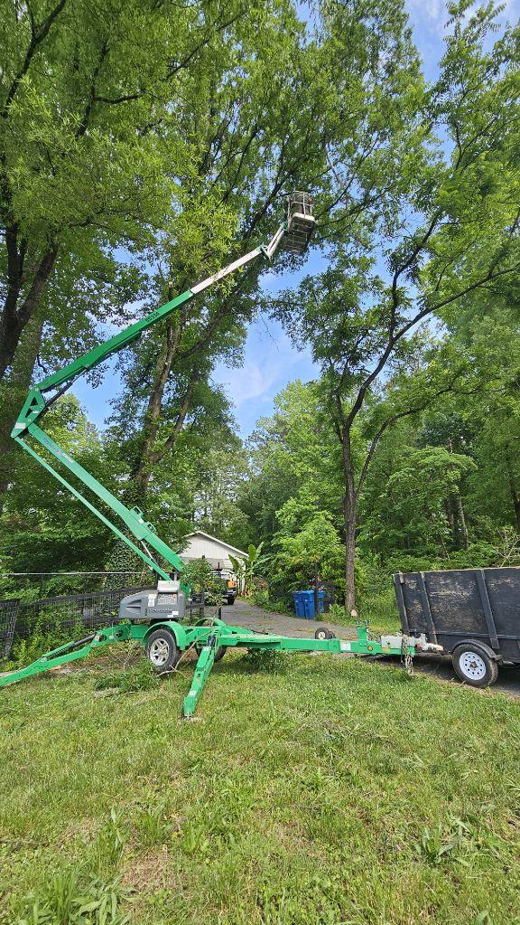 project photo