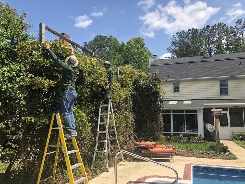 project photo