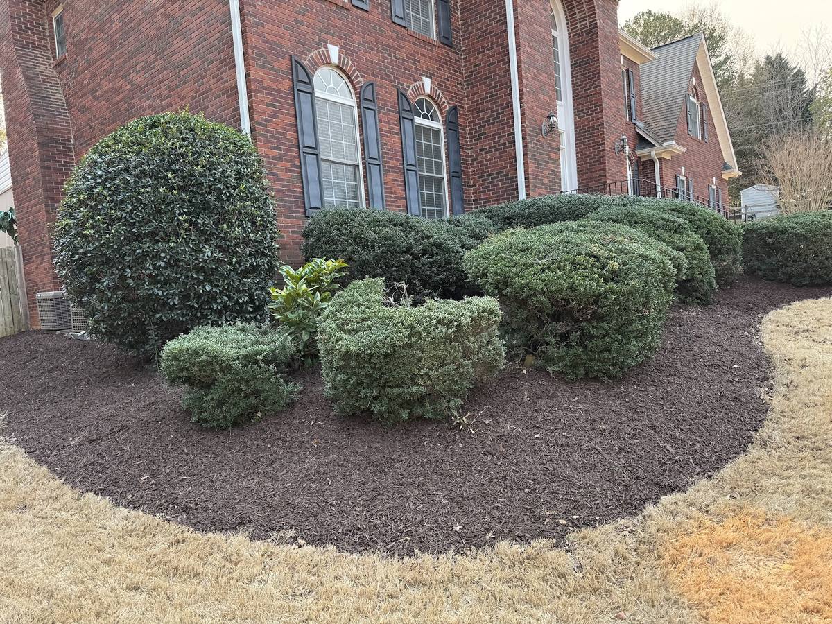 Emmanuel's landscaping work