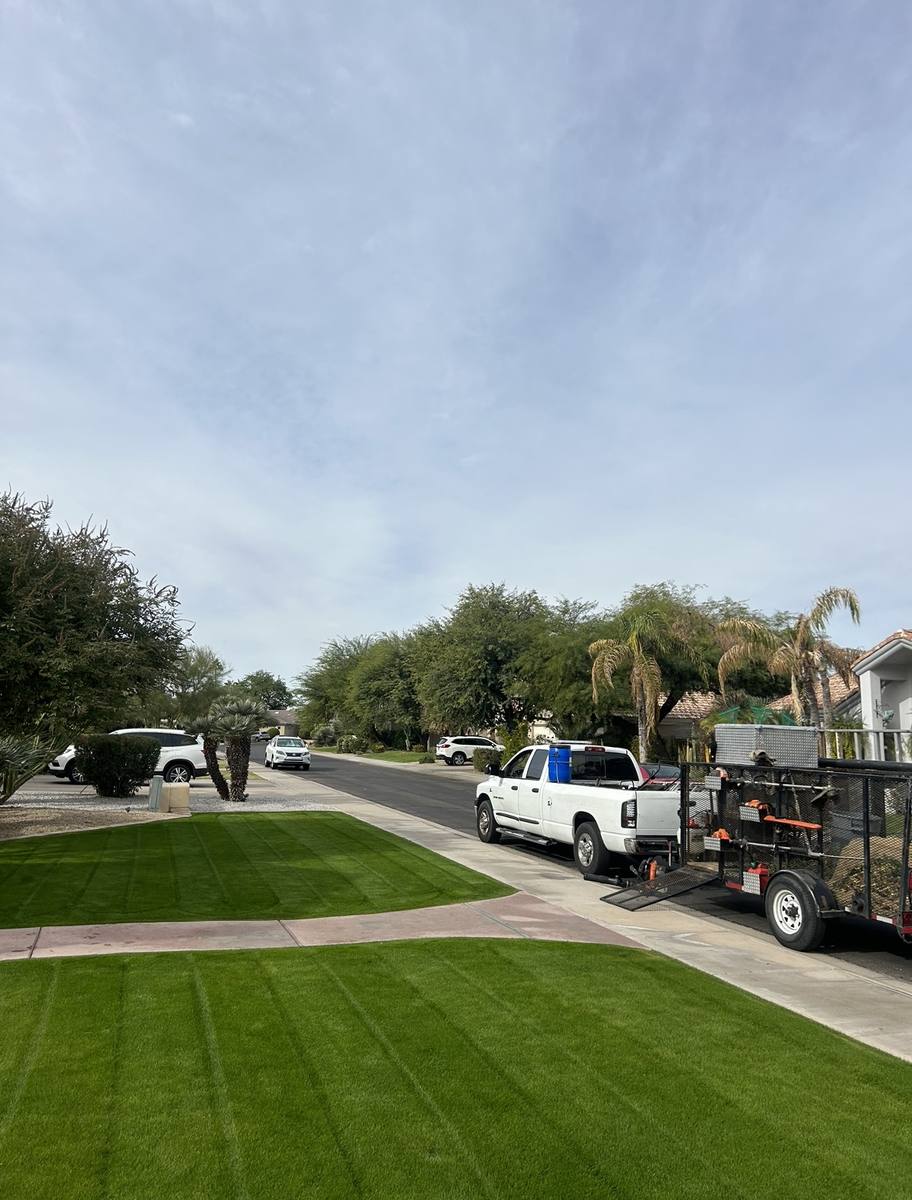 Ever Green Landscaping work