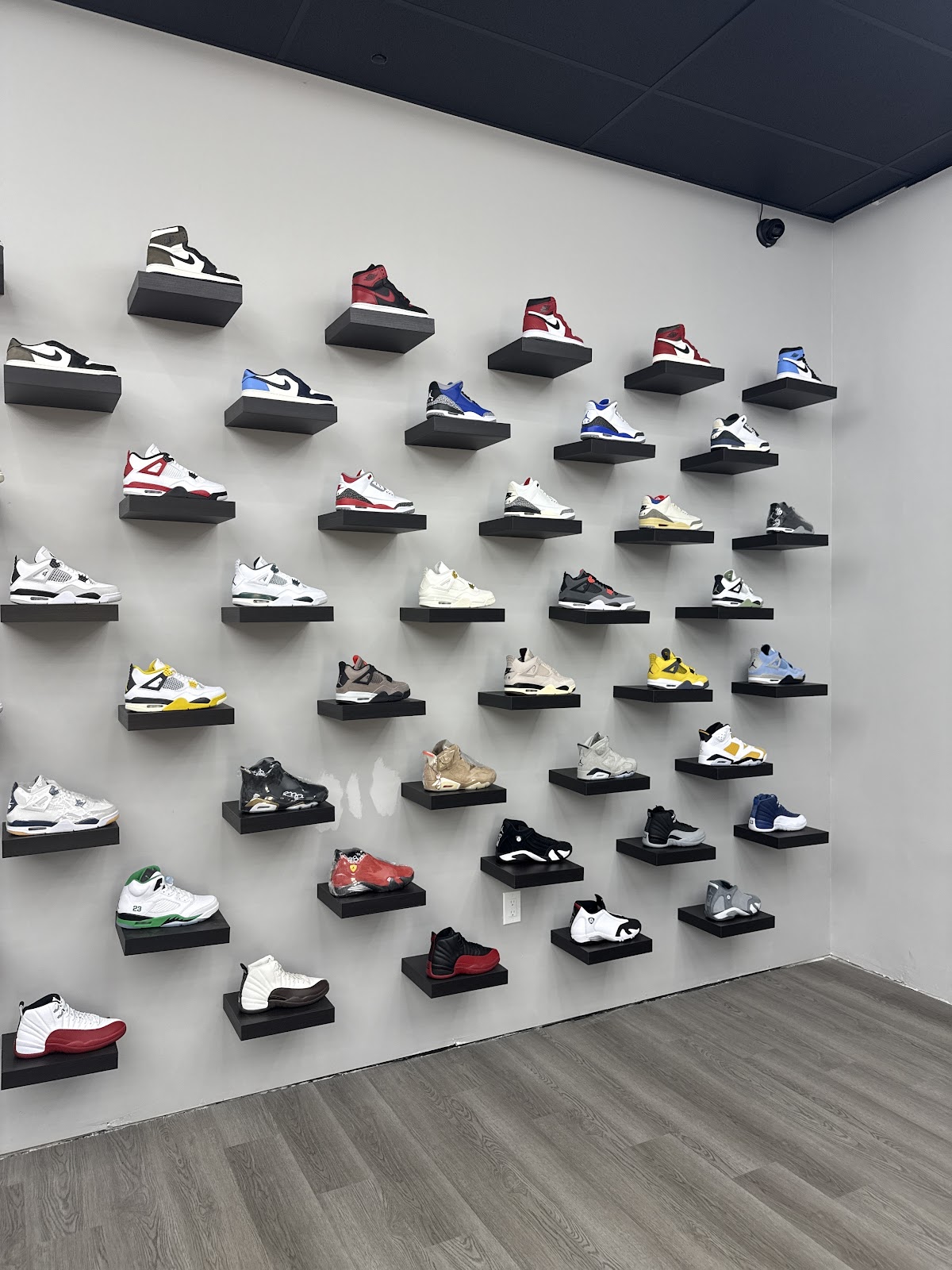 Halo Drift