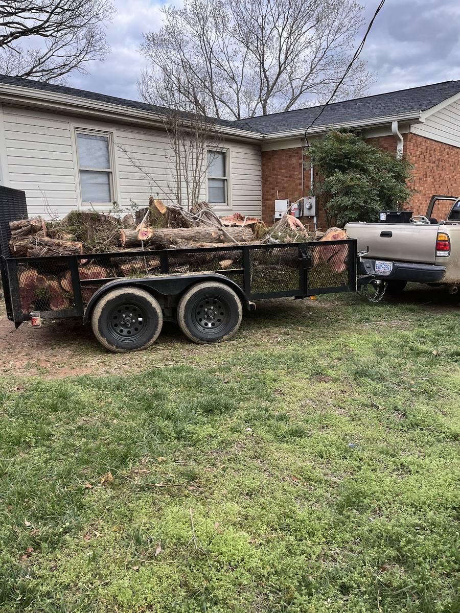 GA/PA Tree Care work