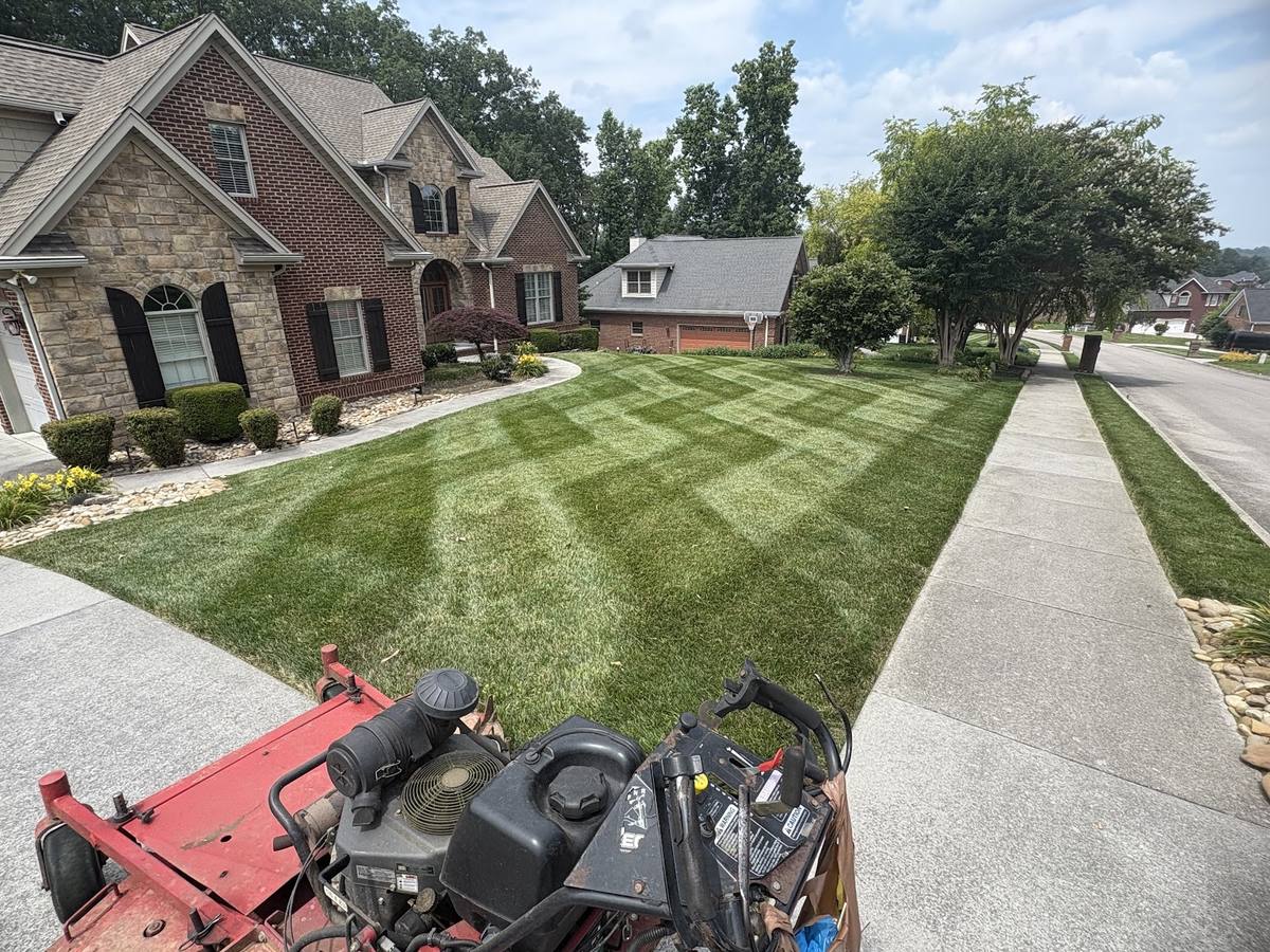 Garden Pro Landscaping work