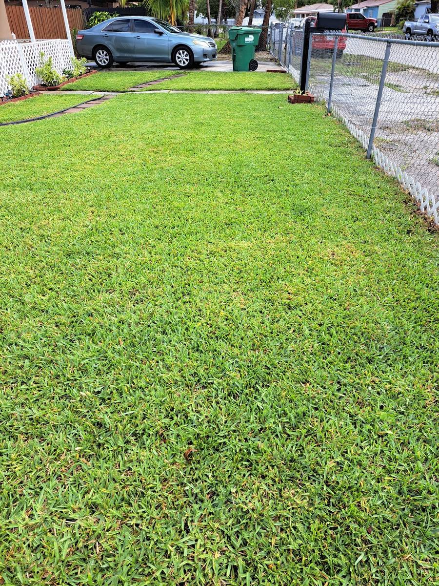 landscaping work