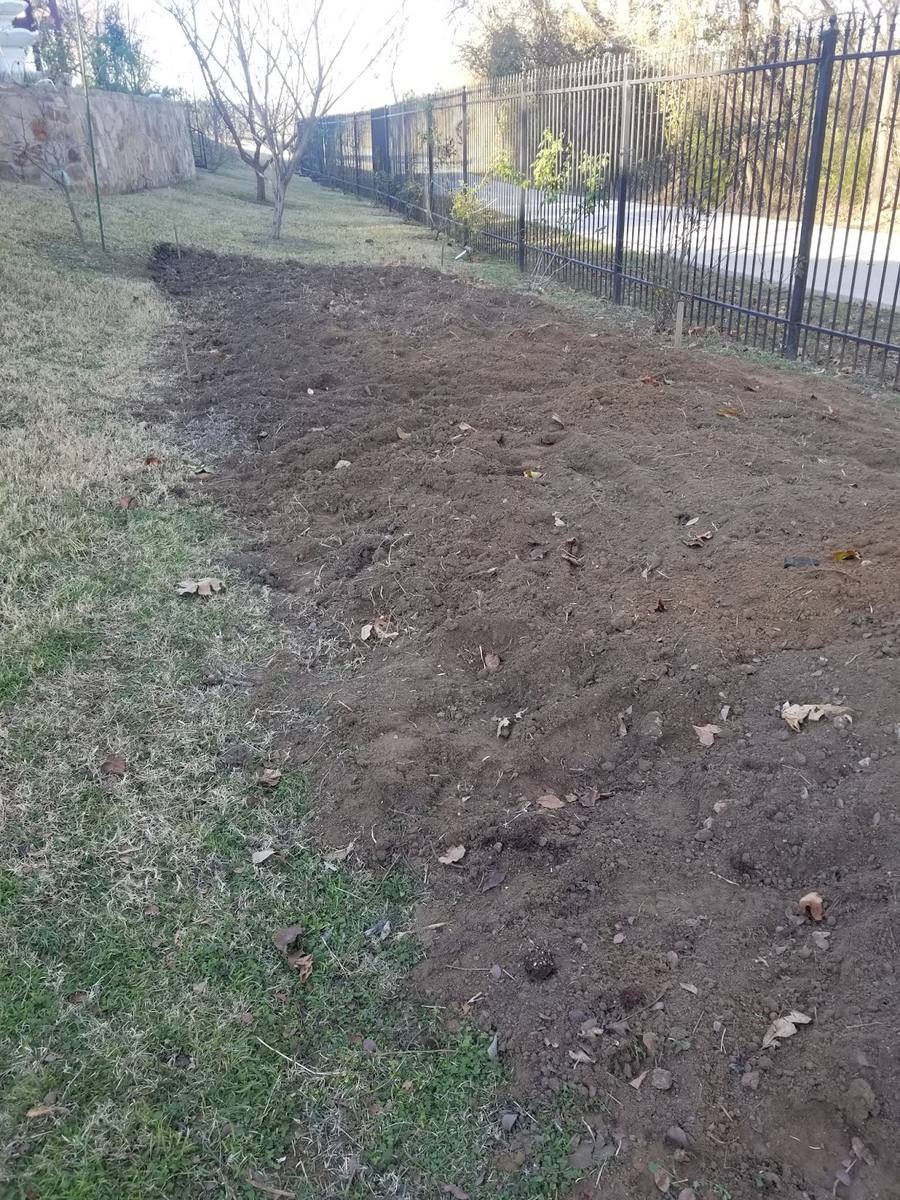project photo