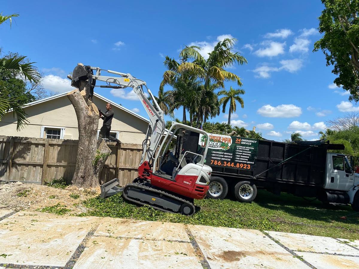 Spider-Man Tree work