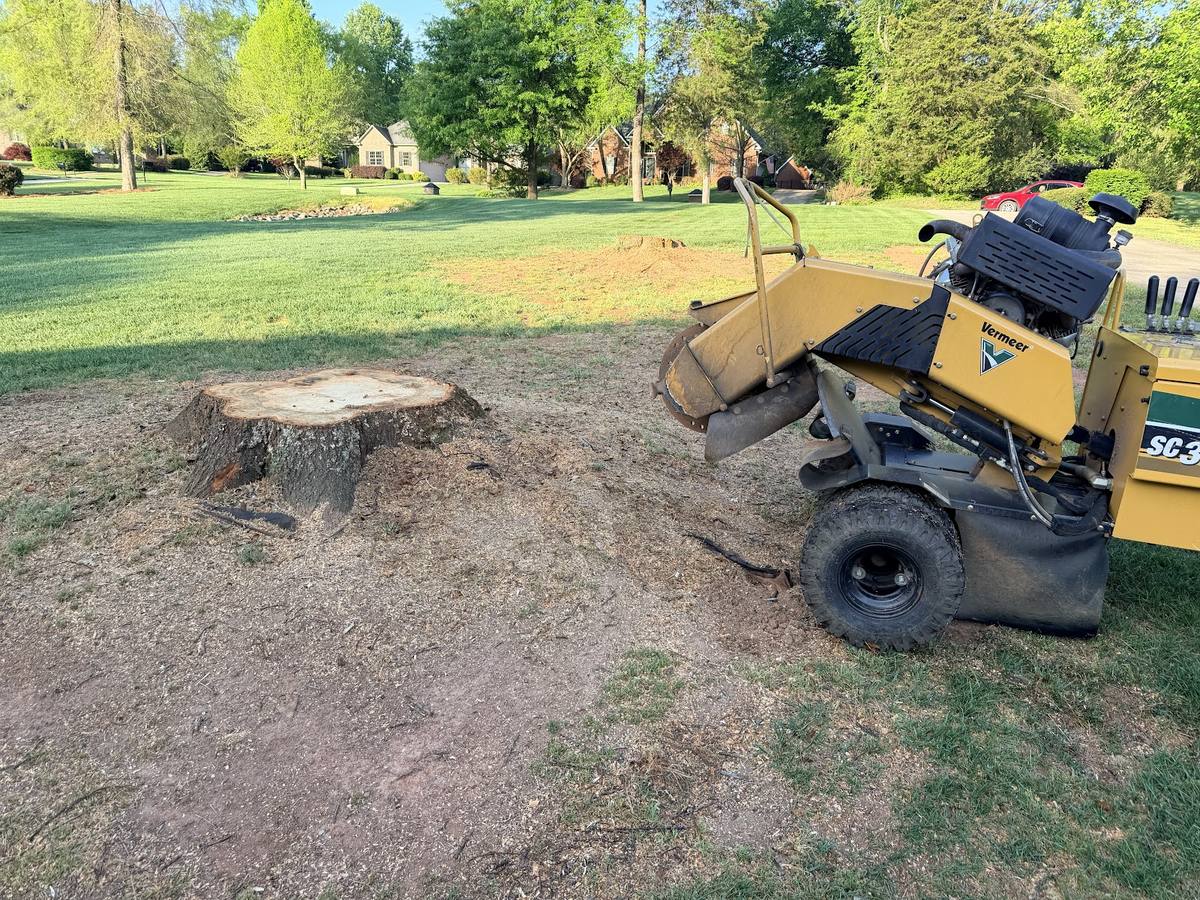 Summit Stump Grinding work