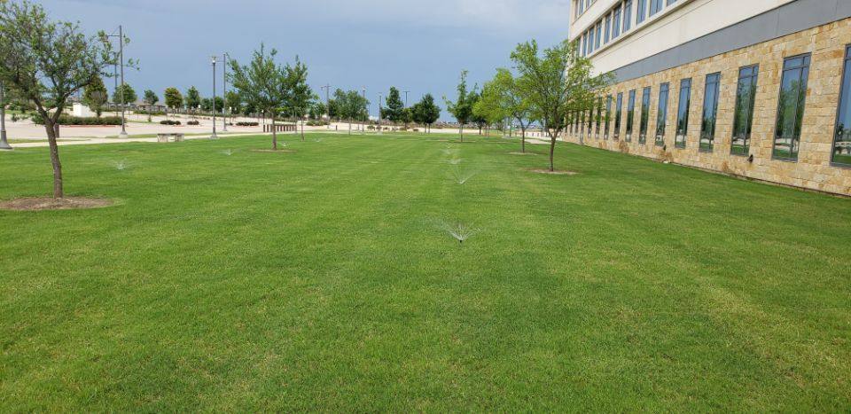 Water Wizards Landscap work