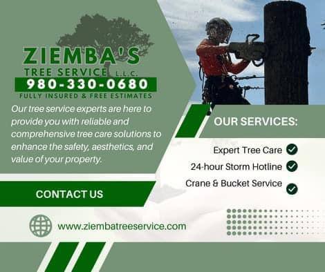 Ziemba’s Tree work